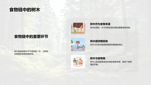 树木的生态密码
