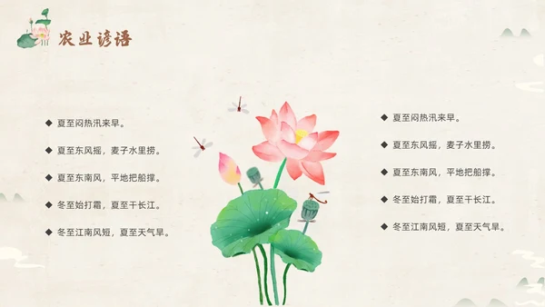 绿色淡雅中国风荷花荷叶中国二十四节气之夏至节气介绍PPT