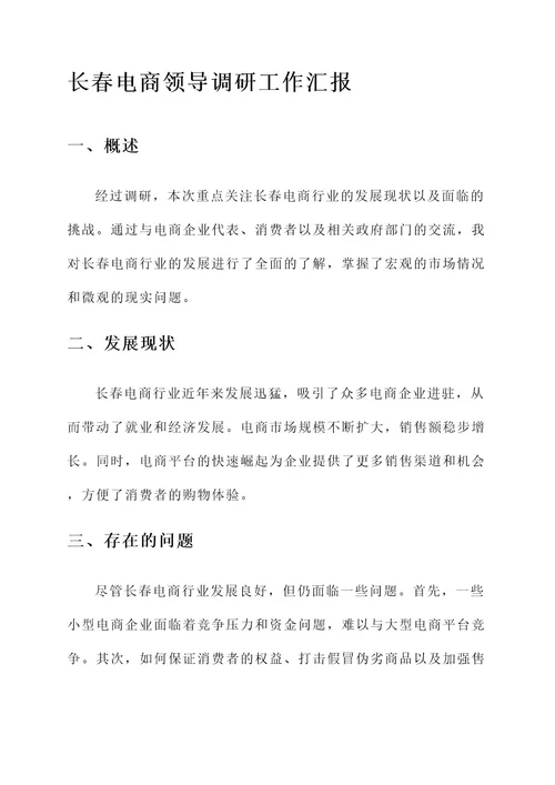 长春电商领导调研工作汇报