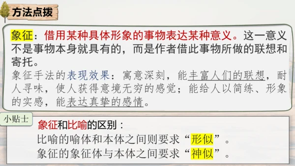 15 白杨礼赞 课件