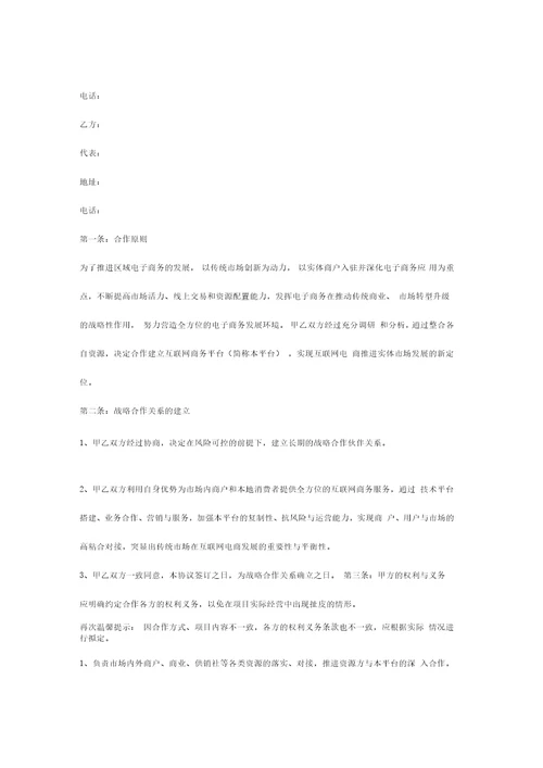 互联网战略合作合同协议书范本专业版