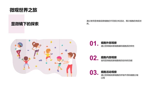 细胞知识讲解PPT模板