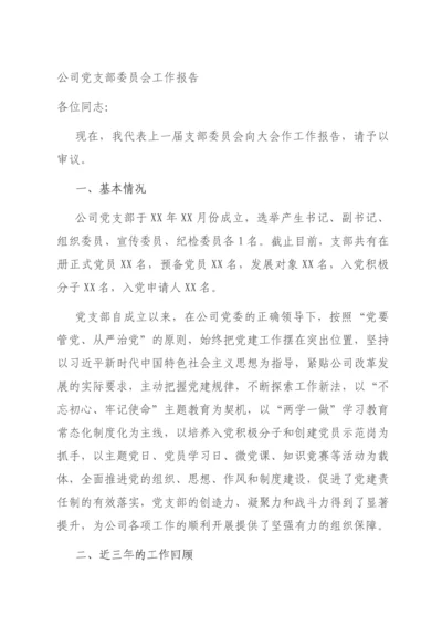 公司党支部委员会工作报告.docx