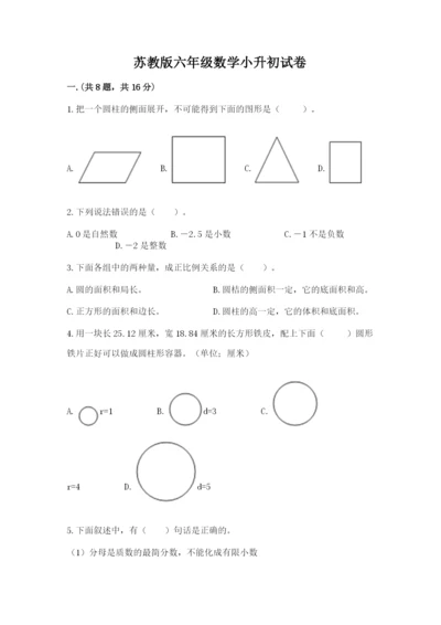 苏教版六年级数学小升初试卷附答案（完整版）.docx