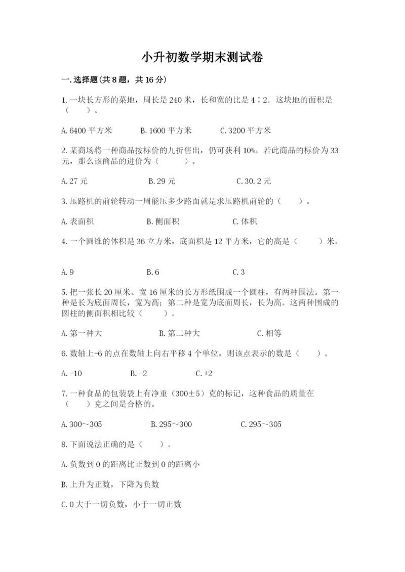 小升初数学期末测试卷精品（巩固）.docx