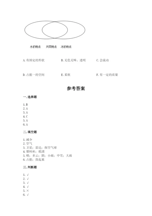 教科版三年级上册科学期末测试卷（实用）word版.docx