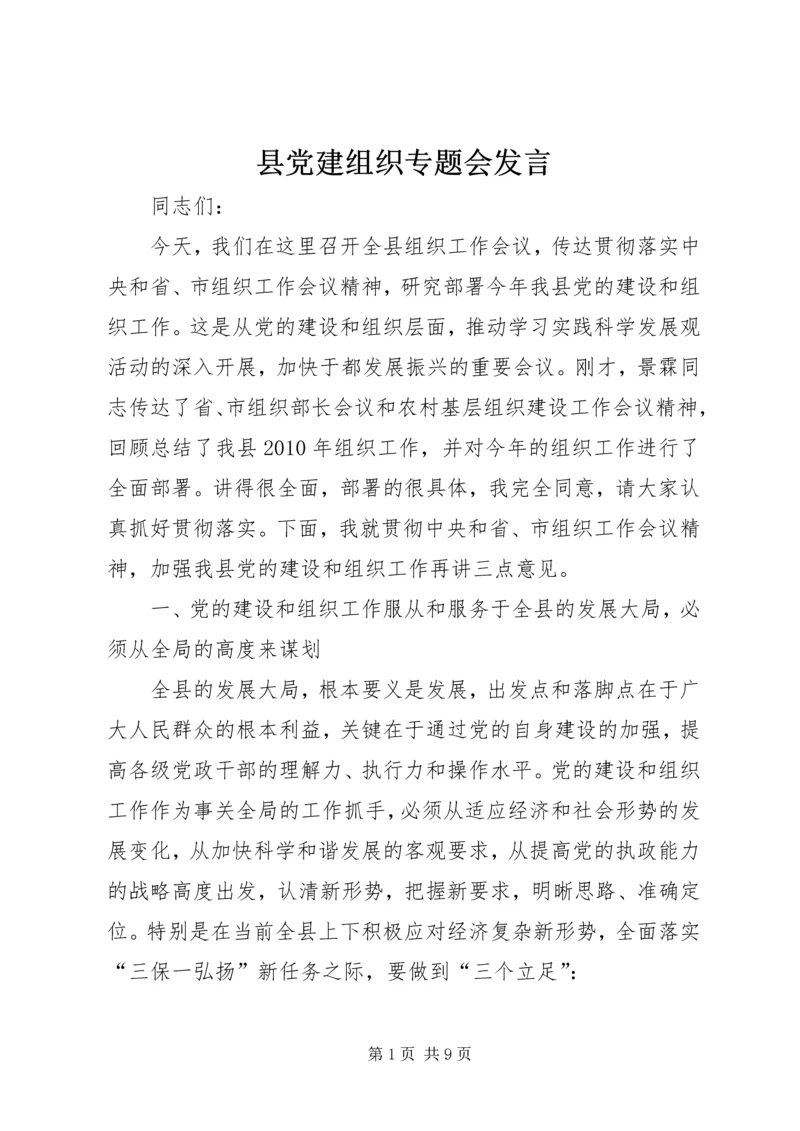 县党建组织专题会发言.docx