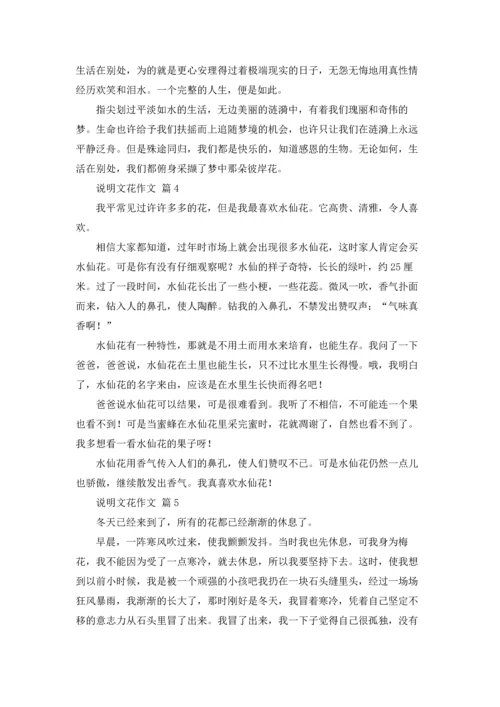 关于说明文花作文锦集8篇.docx