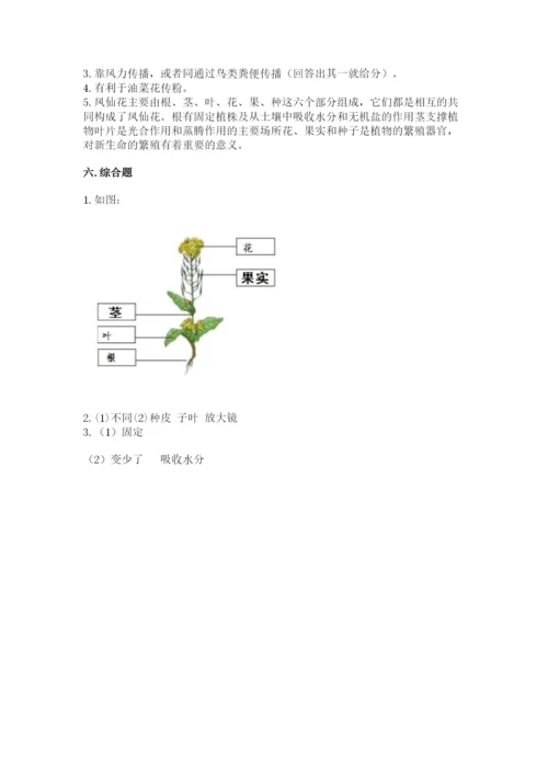 科学四年级下册第一单元《植物的生长变化》测试卷往年题考.docx