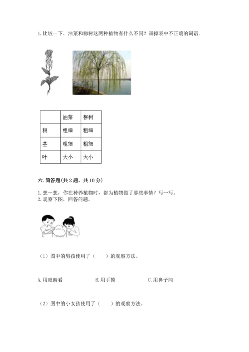 教科版科学一年级上册第一单元《植物》测试卷含完整答案（全优）.docx