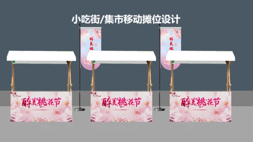 小镇桃花节策划方案通用PPT