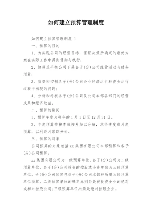 如何建立预算管理制度.docx