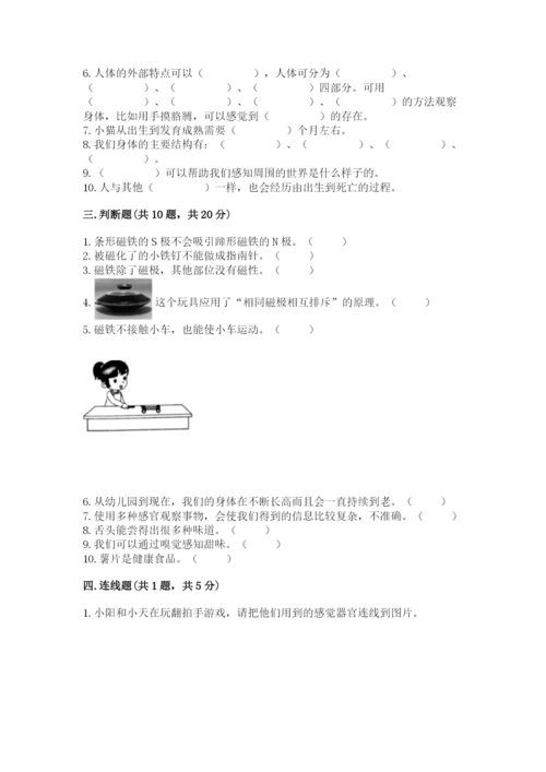 教科版小学科学二年级下册期末测试卷（黄金题型）.docx