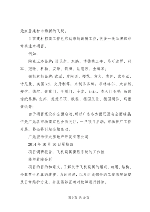 县级项目管理调研报告 (4).docx