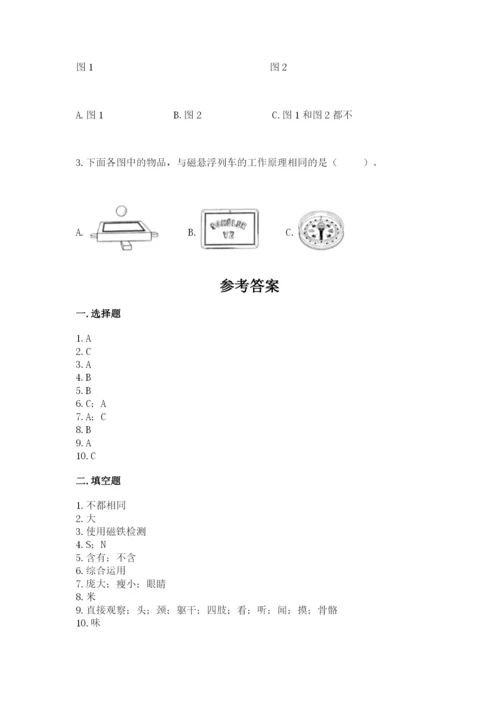 教科版小学科学二年级下册期末测试卷新版.docx