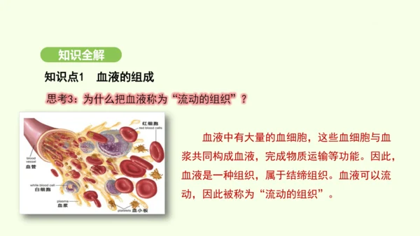 第四单元-第四章-第一节-流动的组织——血液课件-2024-2025学年七年级生物下学期人教版(20