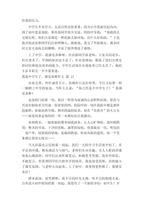 我是中学生了,感觉真棒作文