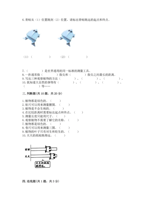 教科版科学一年级上册期末测试卷精品（巩固）.docx