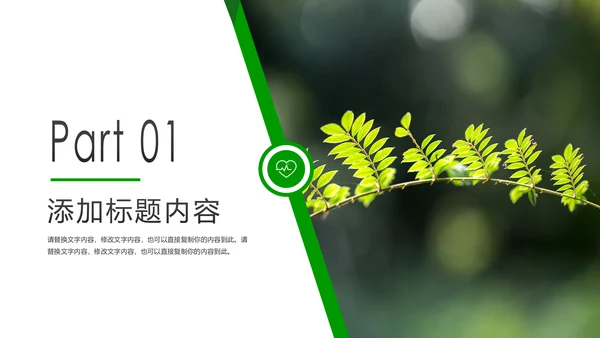 绿色唯美植物生长敬畏生命发芽PPT模板
