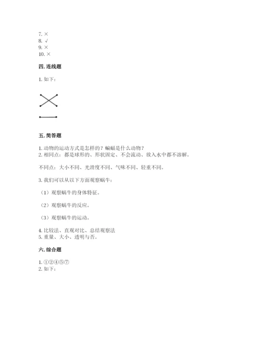 教科版一年级下册科学期末测试卷附完整答案（易错题）.docx