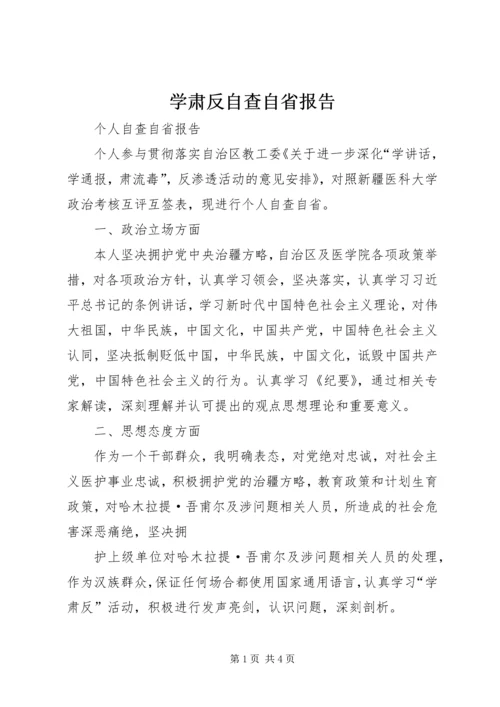 学肃反自查自省报告.docx