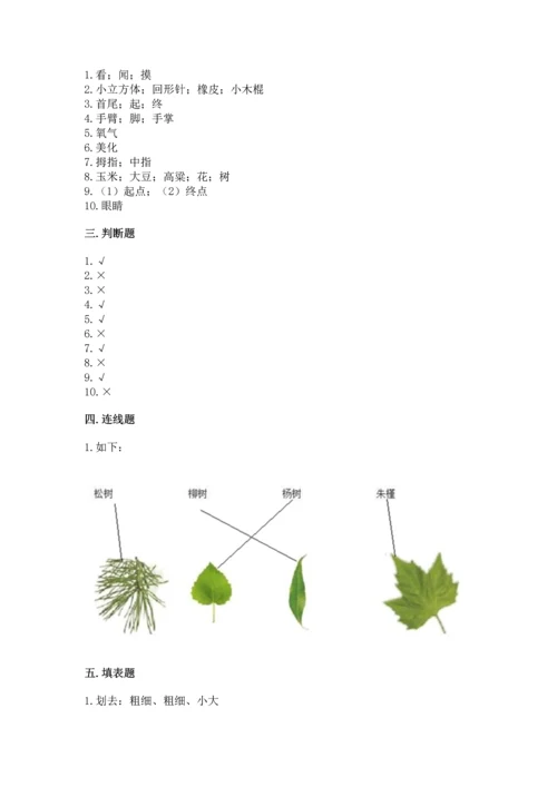 教科版一年级上册科学期末测试卷含答案【最新】.docx