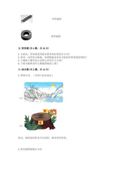 苏教版二年级下册科学期末考试试卷附答案解析.docx