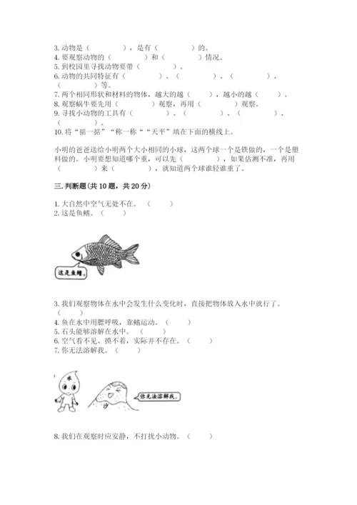 教科版一年级下册科学期末测试卷含答案（新）.docx