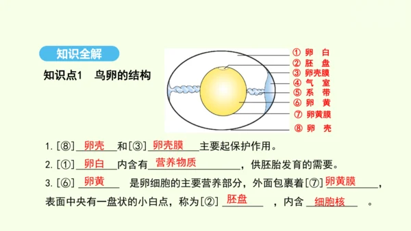 7.1.4鸟的生殖和发育课件-人教版生物八年级下册(共28张PPT)