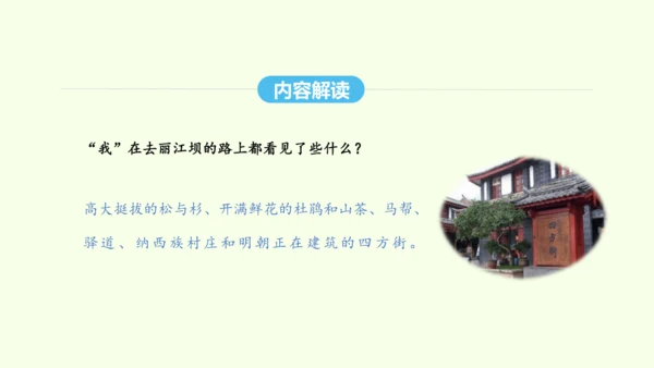 第20课  一滴水经过丽江 统编版语文八年级下册 同步精品课件