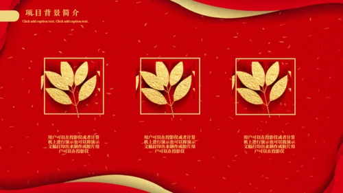 项目启起仪式通用PPT模板
