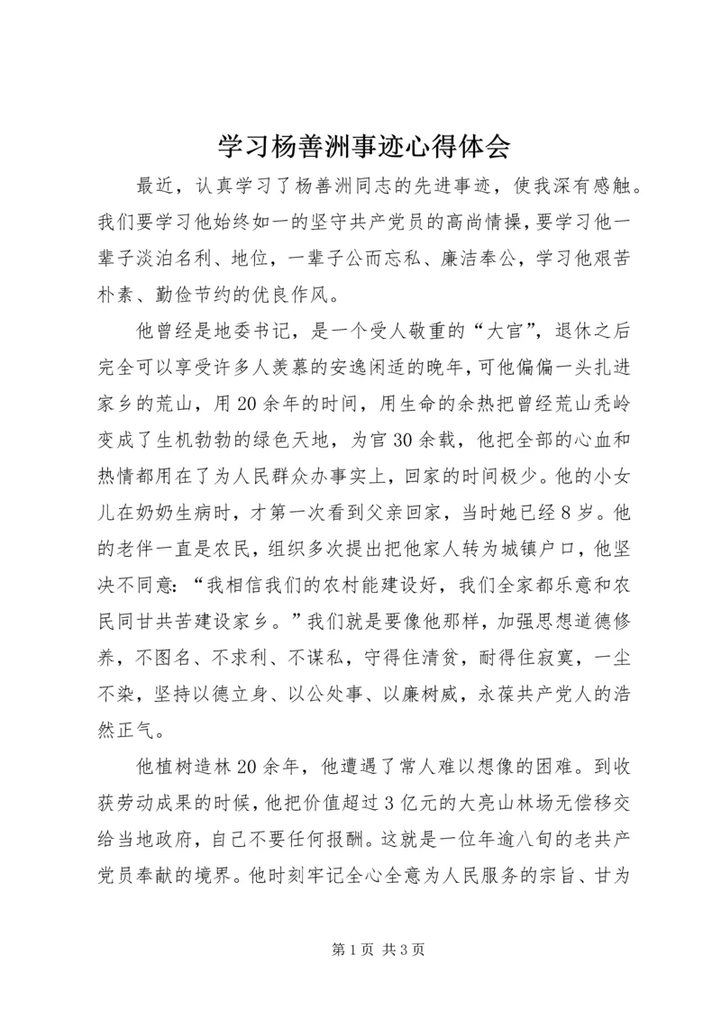 学习杨善洲事迹心得体会.docx