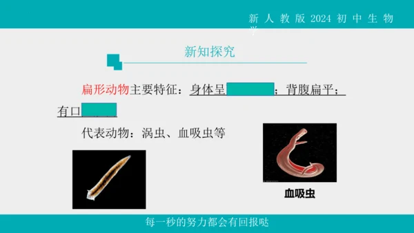 人教版生物七年级上册2.2.1《无脊椎动物》教学课件(共40张PPT)+视频素材