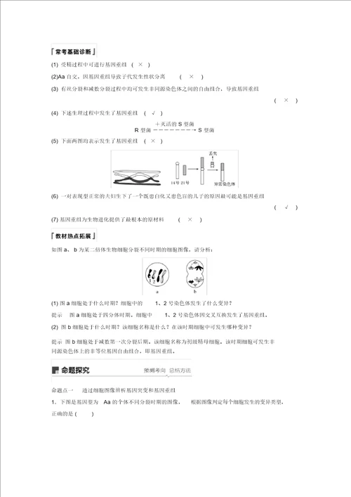 20182019学年高考生物大一轮复习第七单元生物变异育种和进化第20讲基因突变和基因重组学案