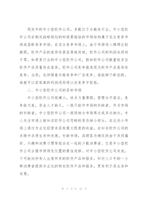 软件公司发展战略规划.docx