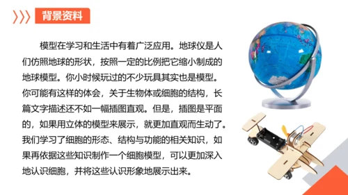 综合实践项目单元小结-【备课优选】七年级生物上学期同步精品课件（2024人教版）(共19张PPT)