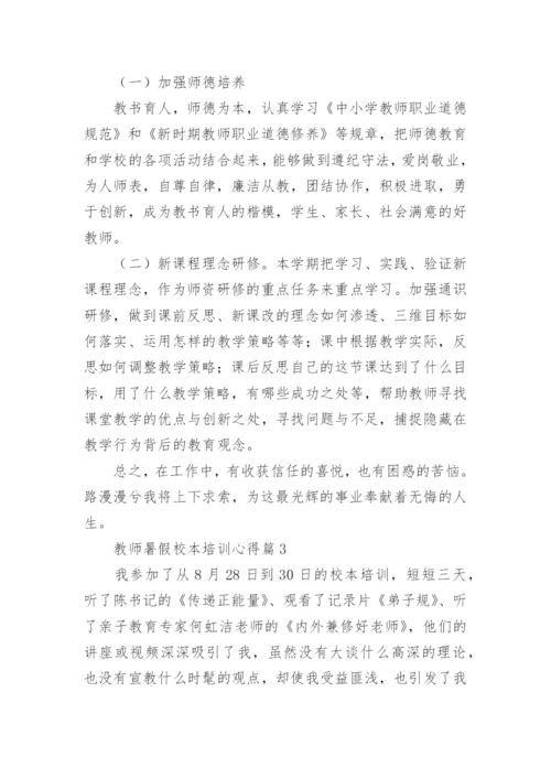 教师暑假校本培训心得5篇.docx