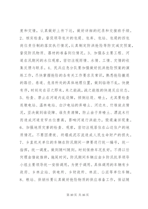 村抢险救灾方案.docx