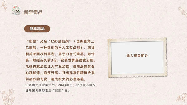 褐色简约线条远离毒品快乐成长小学生禁毒知识宣传主题班会PPT禁毒日（禁毒）