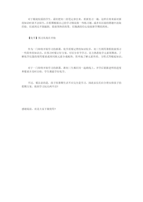 “准初三生”暑假各科学习计划.docx