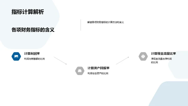 财务报告深度解析