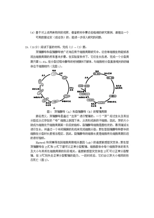 2020年普通高中学业水平考试等级性考试生物测试(共11页)