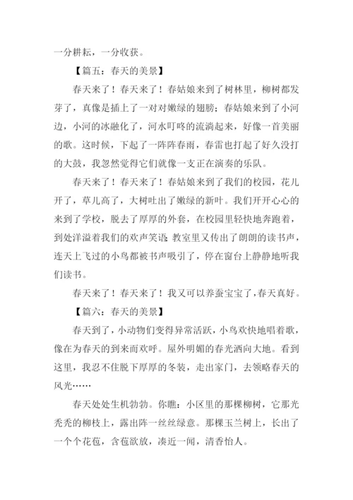 春天的景色作文350字-1.docx
