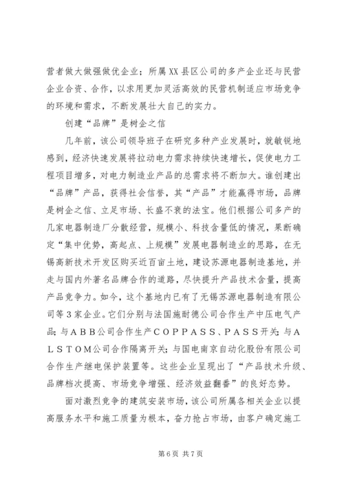 供电多种产业强劲思考.docx