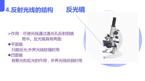 人教版（2024）七年级上册1.2.1 学习使用显微镜 课件(共29张PPT)