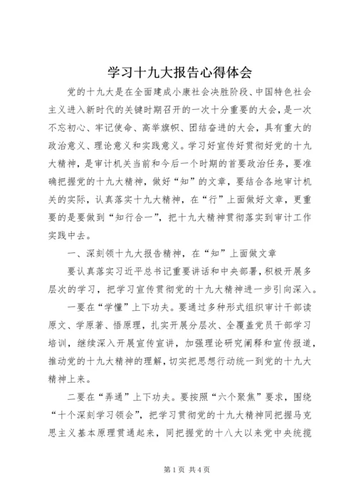 学习十九大报告心得体会 (32).docx