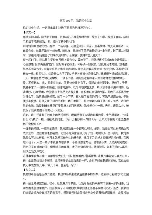 作文600字：我的初中生活