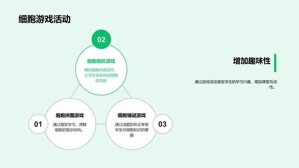 细胞结构与功能解析