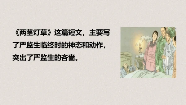 第13课《人物描写一组两茎灯草》（教学课件）