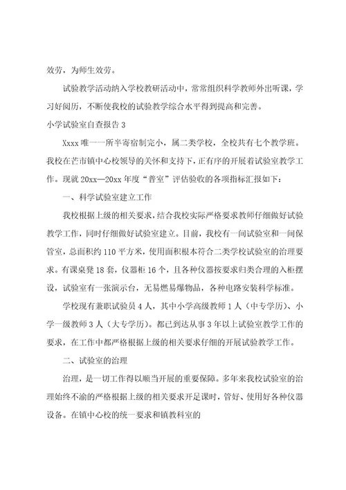 小学实验室自查报告